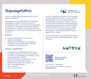 Skipulagsfulltrúi auglýsing